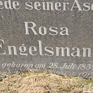 Engelsmann Rosa