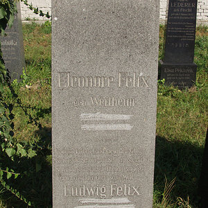 Felix Ludwig