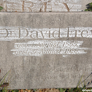 Frey David Dr.