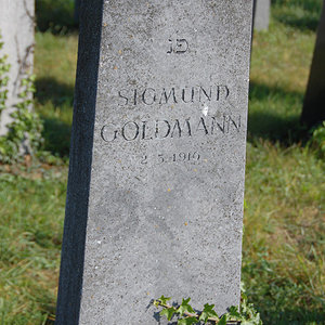 Goldmann Sigmund