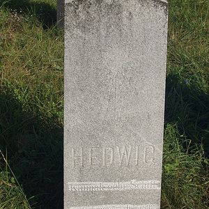 Klumak Hedwig