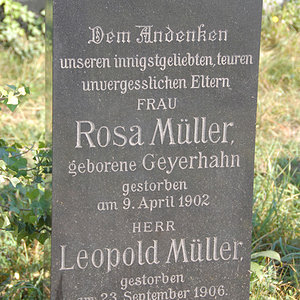 Müller Rosa