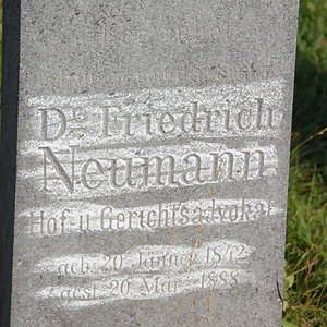 Neumann Friedrich Dr.