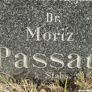 Passau Moriz Dr.