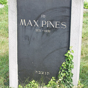 Pines Max