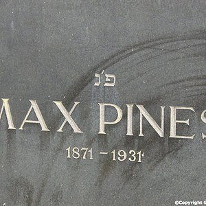 Pines Max