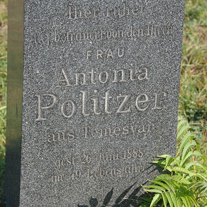 Politzer Antonia