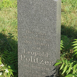 Politzer Leopold