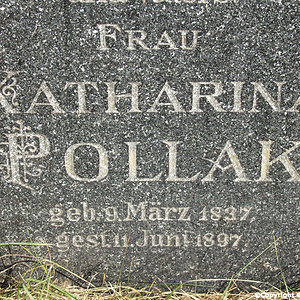 Pollak Katharina