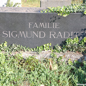 Raditz Sigmund