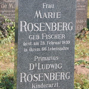 Rosenberg Ludwig Dr.