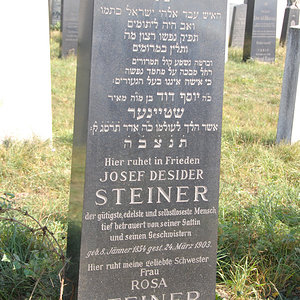 Steiner Josef Desider