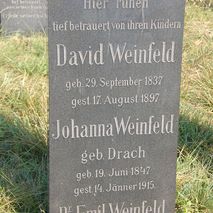 Weinfeld Emil Dr.