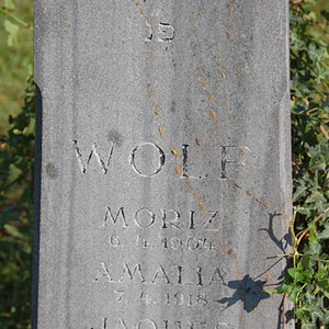 Wolf Moriz