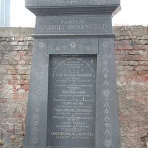 Rosenfeld Gabriel