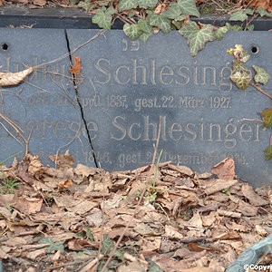 Schlesinger Julius