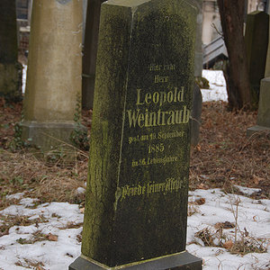 Weintraub Leopold