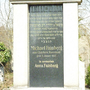 Fainberg Michael