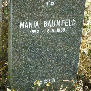 Baumfeld Mania Maria