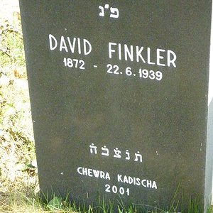 Finkler David