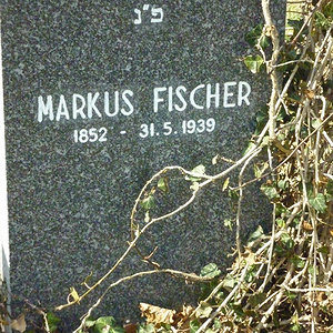 Fischer Markus