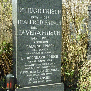 Frisch Hugo Dr.