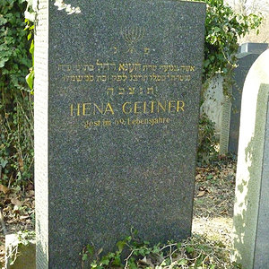 Geltner Hena Hennia