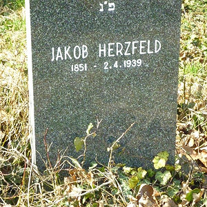Herzfeld Jakob