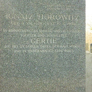 Horowitz Ignatz