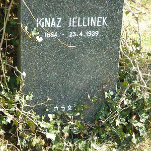 Jellinek Ignaz