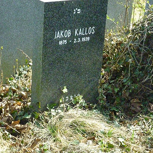 Kallos Jakob