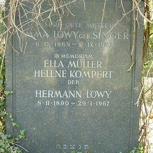 Löwy Hermann