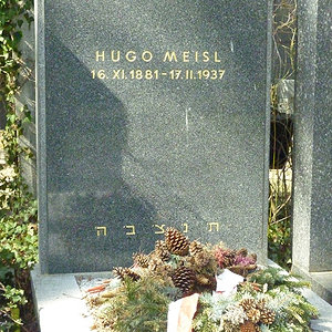 Meisl Hugo