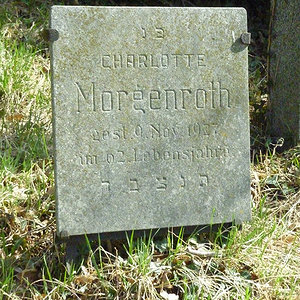 Morgenroth Charlotte