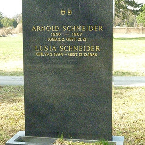 Schneider Arnold