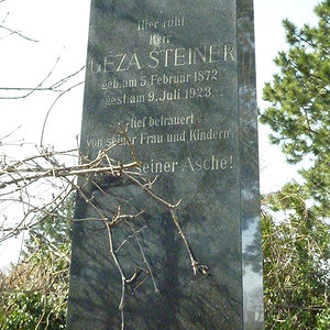 Steiner Geza