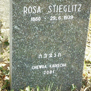 Stieglitz Rosa Sara