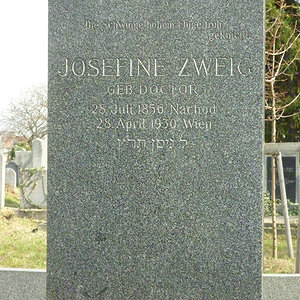 Zweig Josefine