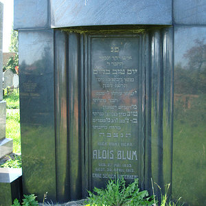 Blum Alois
