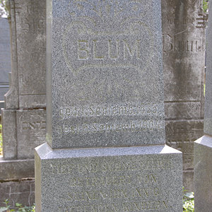 Blum David