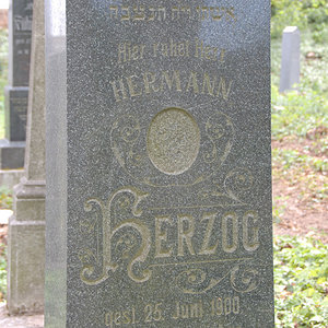 Herzog Hermann