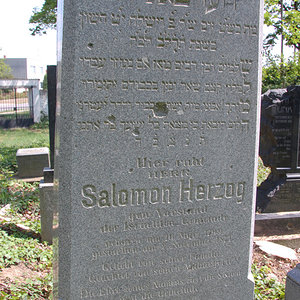 Herzog Salomon