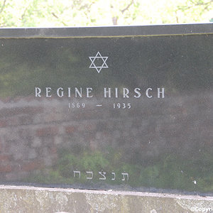 Hirsch Regine