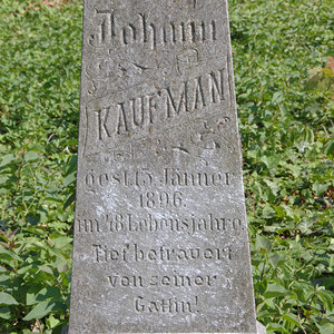Kaufman Johann