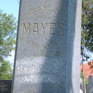 Mayer Rosa