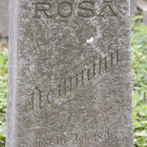 Neumann Rosa
