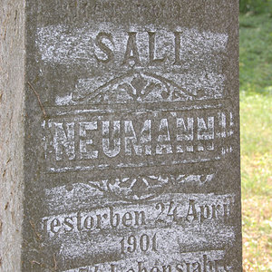 Neumann Sali