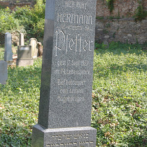 Pfeffer Hermann