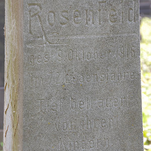 Rosenfeld Wilhelmine