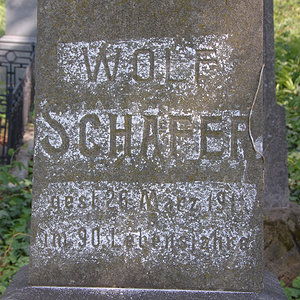 Schäfer Wolf